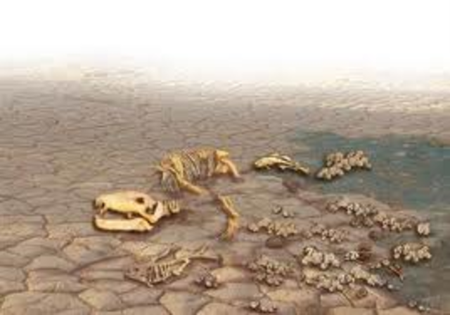 Permian 280 M- 225 M