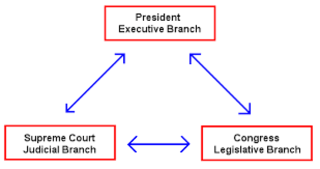 Three Branch Government