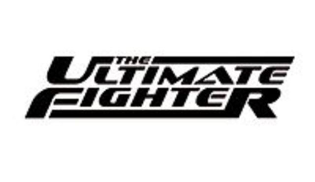 The Ultimate Fighter and mainstream emergence