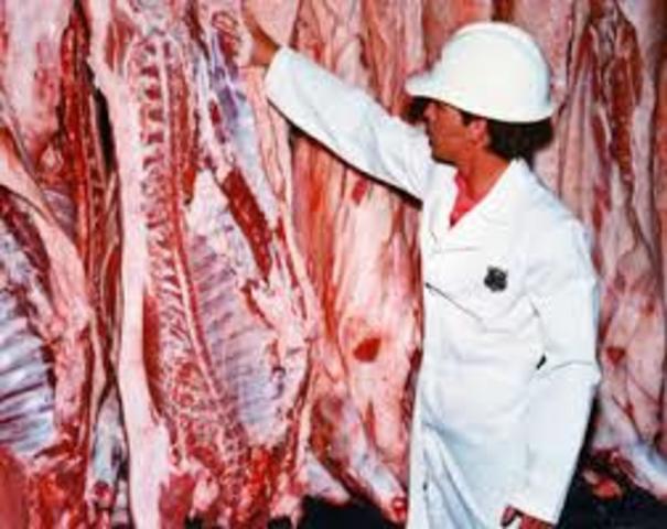 Meat Inspection