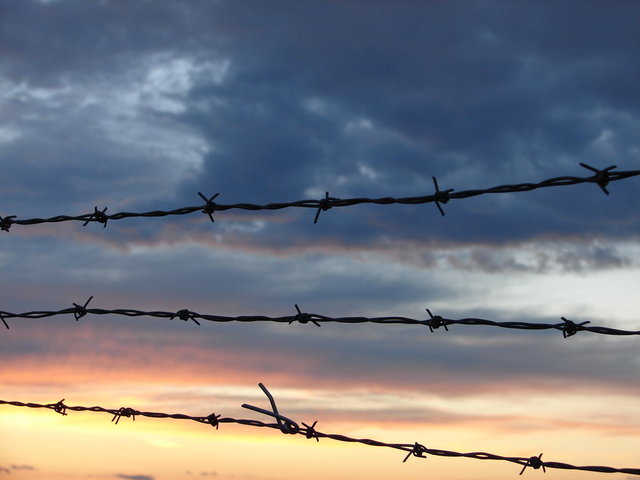 Barbed Wire
