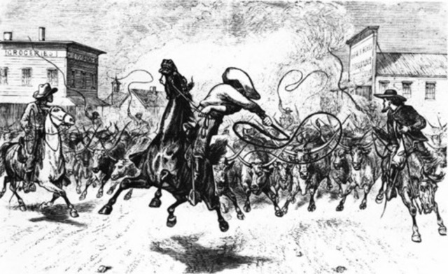 shift from “long drive” to “cattle ranching”