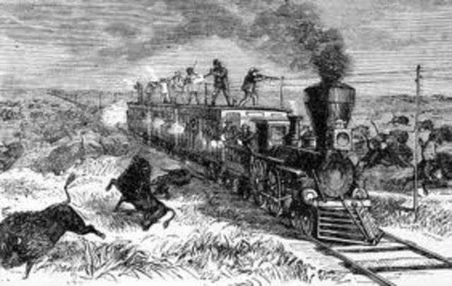 extinction of buffalo in 1800s