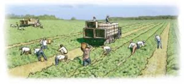 Revolución Agrícola