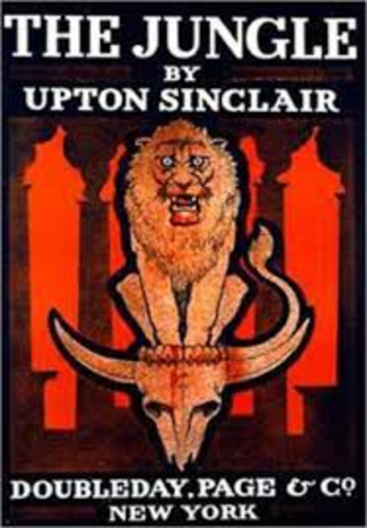 The Jungle