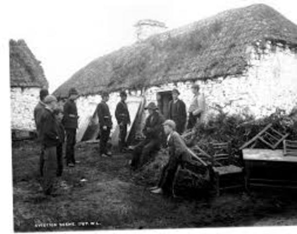 potato famine in ireland