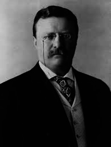 President Theodore Roosevelt