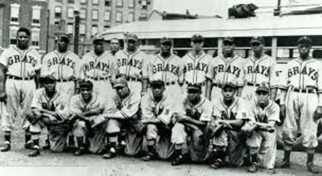 Homestead Grays