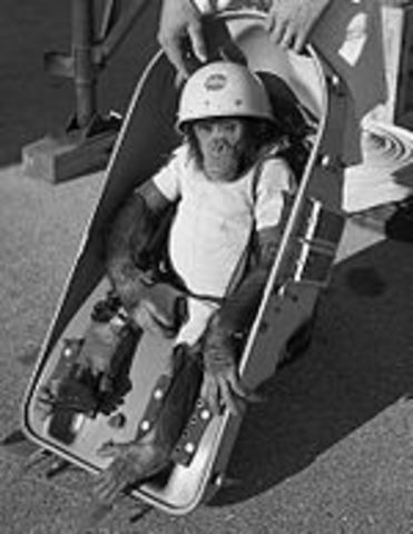 First Animal in Space For US