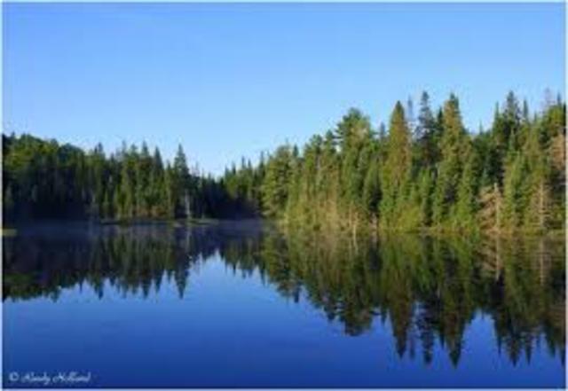 start summer job working for alguiqun park