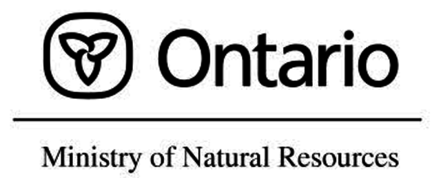 start working for the MNR