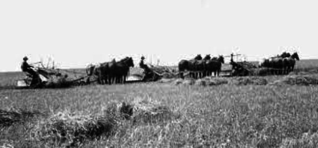 La revolución agrícola.