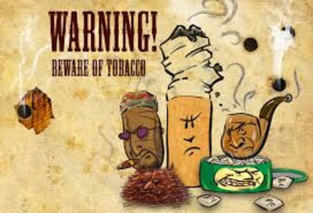 Introduzcan tabaco a Europa