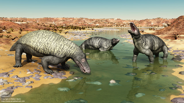 Paleozoic Permian 280M - 225M