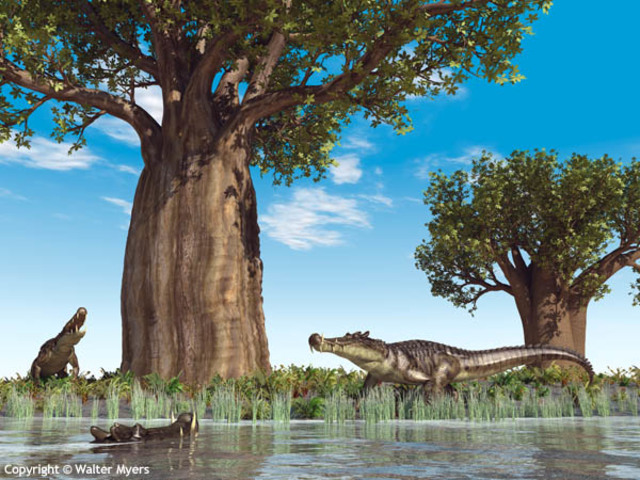 Mesozoic Cretaceous 136M - 65M