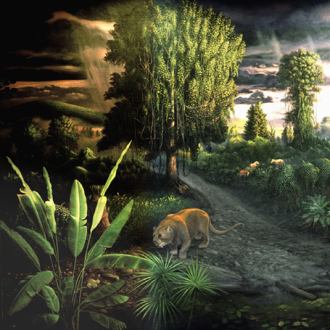 Cenozoic Quaternary 1.8M - Present