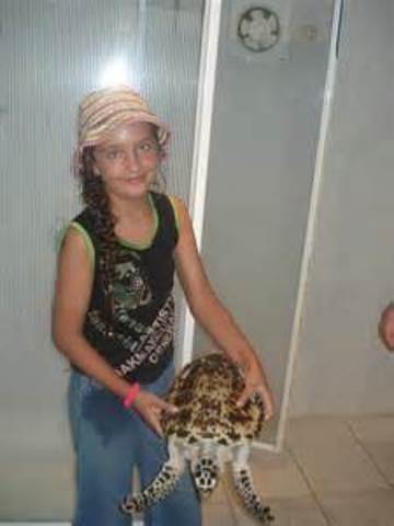 Я назвала ее "Алиса"