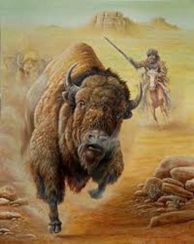 Extinction of buffalo in 1800s