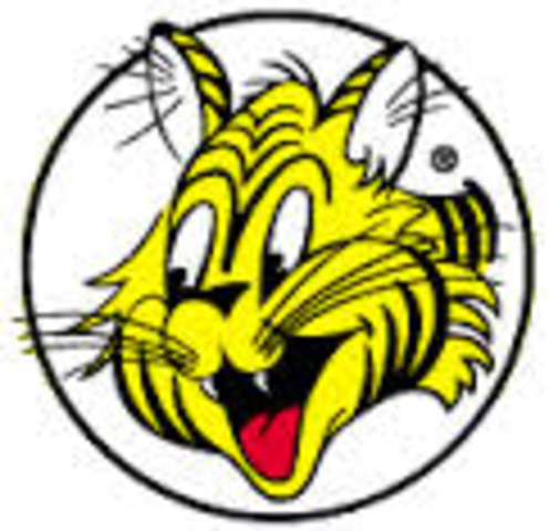 Started my first job