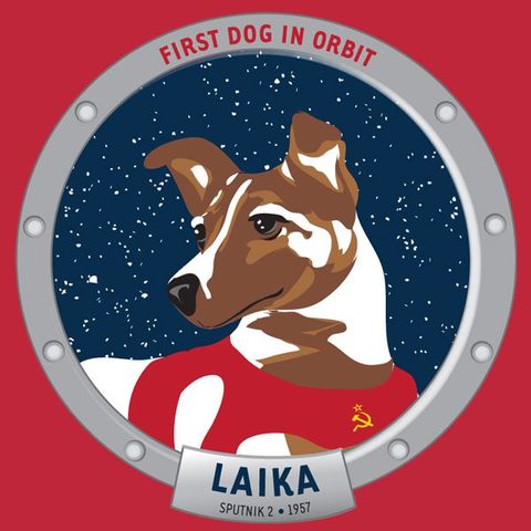 The soviet union sent a dog into space