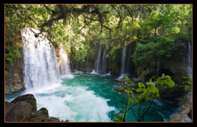TRASLADO A SAN LUIS POTOSI