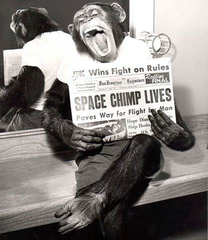 First Chimp In Space
