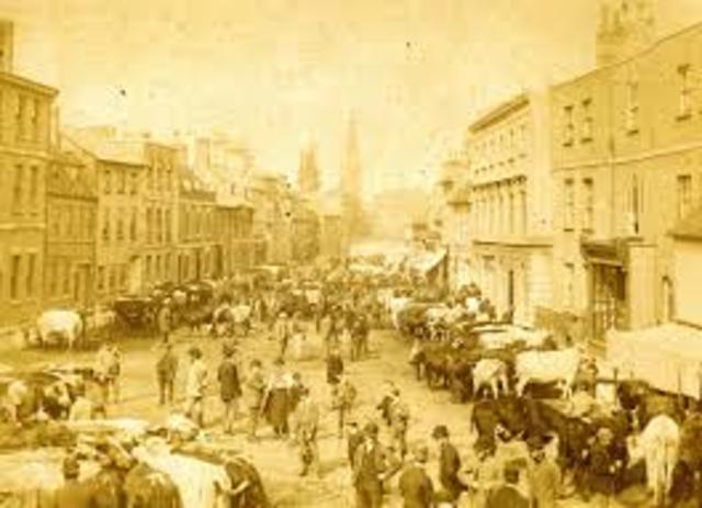 Growth of cities and towns to support cattle, mining, and farming industries.