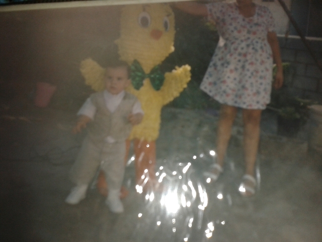 Cumpli 2 años y me dieron mi primera mascota