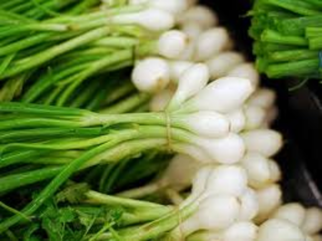 Green Onions