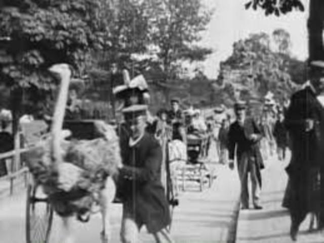 First Private Screening