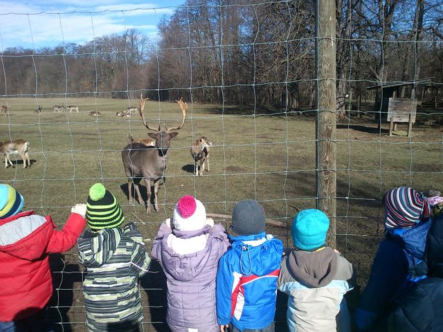 LAIZER TIERAGARTEN ΕΠΙΣΚΕΨΗ ΣΤΟ ΕΛΕΥΘΕΡΟ ΖΩΟΛΟΓΙΚΟ ΔΑΣΟΣ