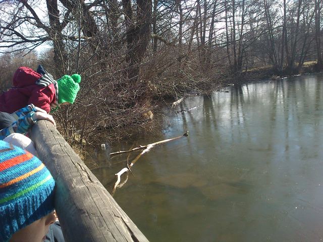 ΕΚΔΡΟΜΗ ΣΤΟ ΔΑΣΟΣ ΜΕ ΤΗ  ΠΑΓΩΜΕΝΗ ΛΙΜΝΗ
