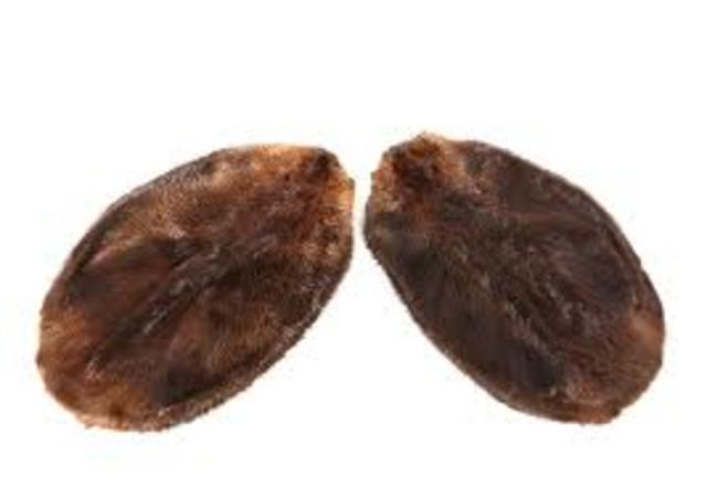 Europeans wore tall felt hats made of beaver fur.