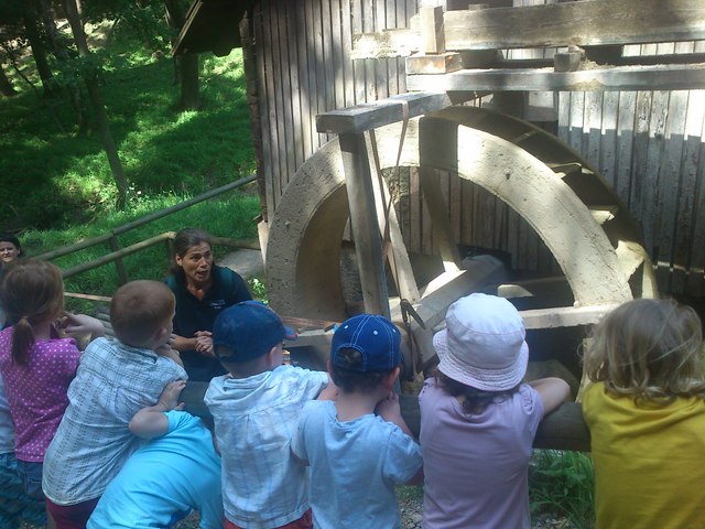 ΕΠΙΣΚΕΨΗ ΣΤΟ ΔΑΣΟΣ ΚΑΙ ΞΕΝΑΓΗΣΗ ΑΠΟ ΕΙΔΙΚΗ ΠΑΙΔΑΓΩΓΟ ΤΗΣ ΦΥΣΗΣ