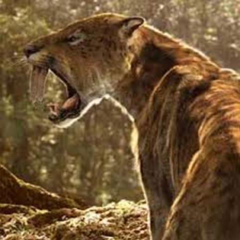 The Extinction of the Ages timeline | Timetoast timelines