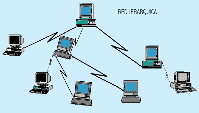 Las Bases De Datos, De Red Y Jerárquicas.