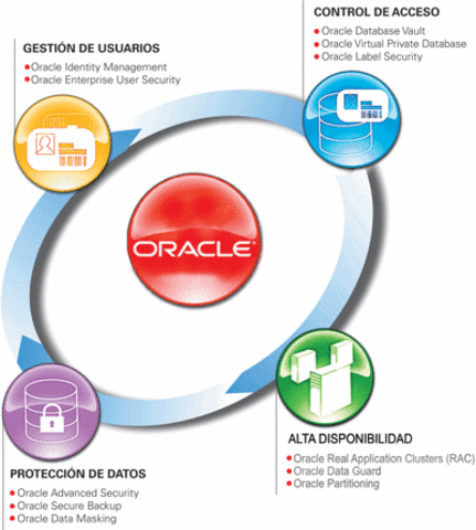 La Base De Datos Oracle