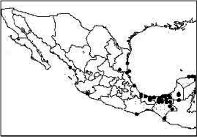 Solicitar apoyo económico para extender el proyecto a más municipios.