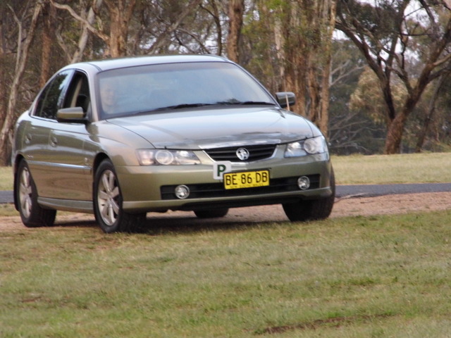 Saturday Night Antics