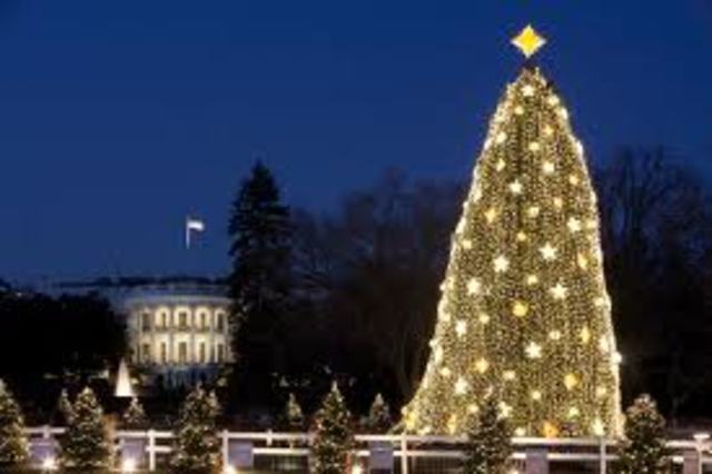 If Thomas Alva Edison hadn’t invented the light bulb, President of the United States, Grover Clevelan wouldn’t have had a Christmas tree lit electrically at the “White House”.