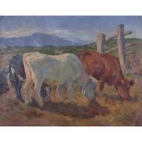 Producen ganado vacuno