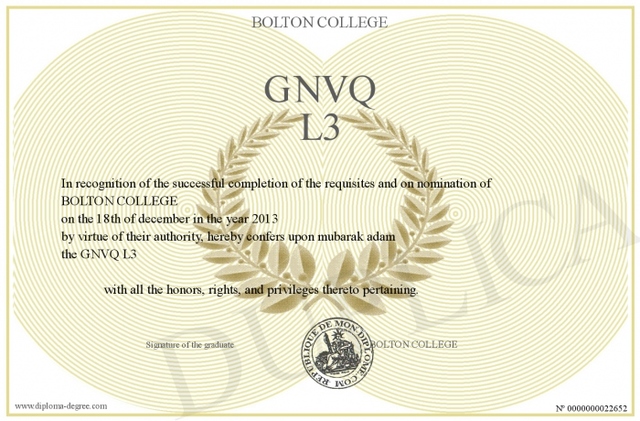 1996 General National Vocational Qualifications (GNVQs)