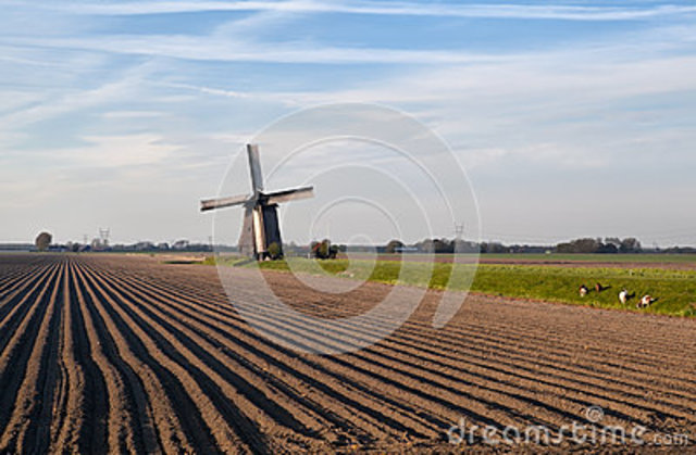 El arado y el molino son desarrollados en Occidente en la edad media.