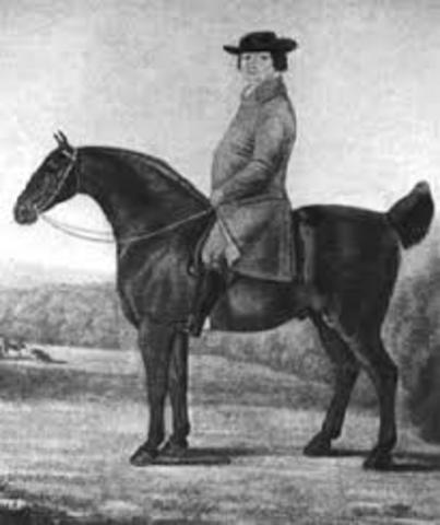 6.	Mejoramiento de la productividad pecuaria