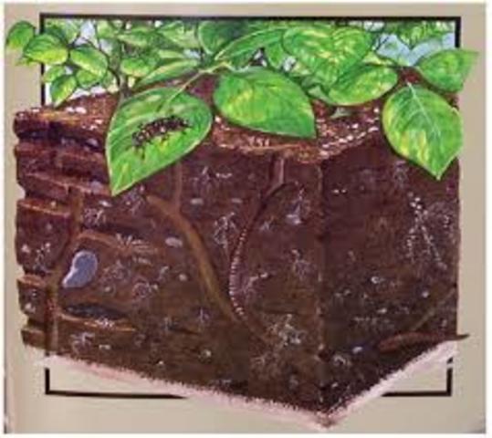 7.	Aprovechamiento de tierras