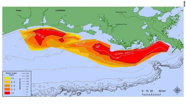 Gulf of Mexico Dead Zone