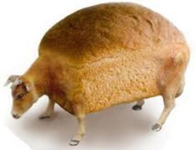 Primeros ganados y vegetales transgénicos