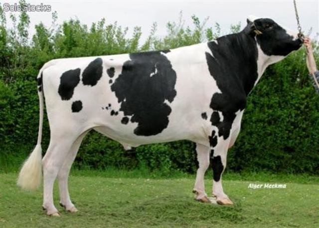 Cambios en productos