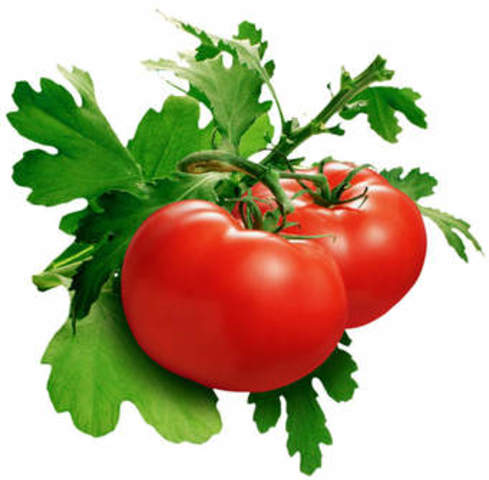 Salmonella Typhimurium Infections Linked to Tomatoes