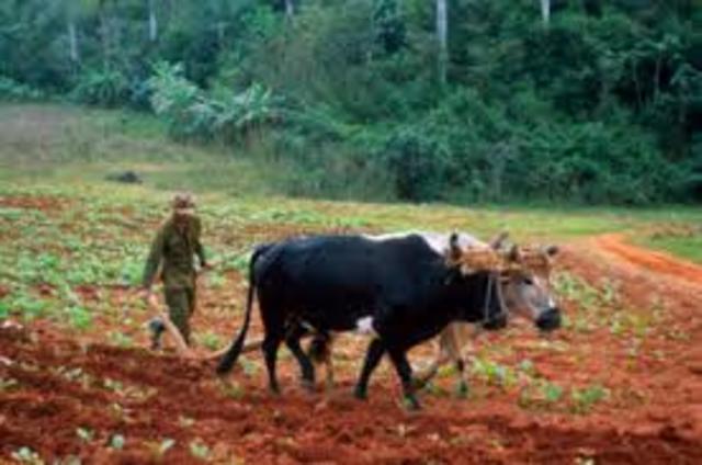 Revolución Agrícola